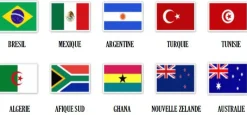 Bandera de Francia