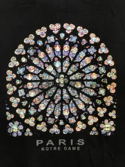 Camiseta París Notre Dame