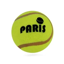 Pelota de tenis París